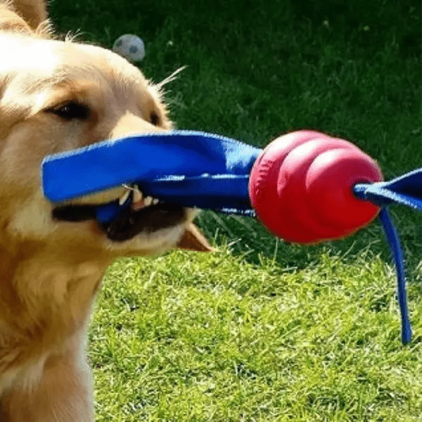 KONG Classic Tails – Interactief Speeltje voor Honden - Pet Buddy