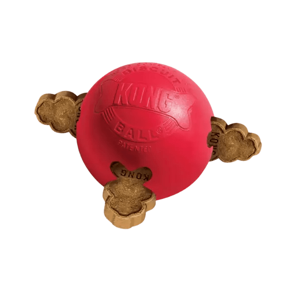 KONG Classic Vulbare Snackbal – Maat S - Pet Buddy