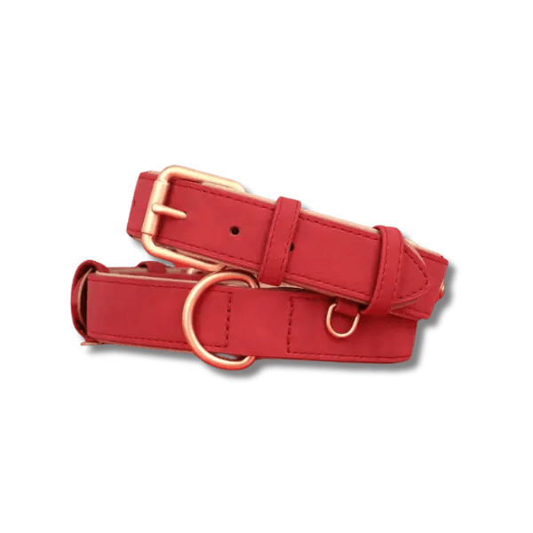 LuxeSoft Halsband & Riem Set - Pet Buddy