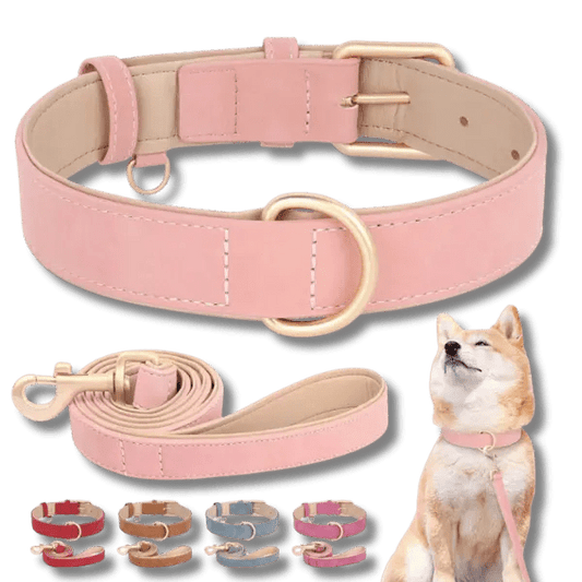 LuxeSoft Halsband & Riem Set - Pet Buddy