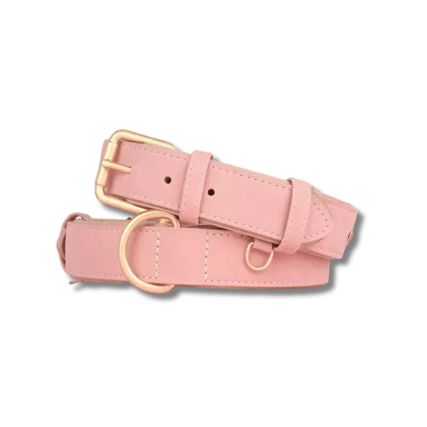 LuxeSoft Halsband & Riem Set - Pet Buddy