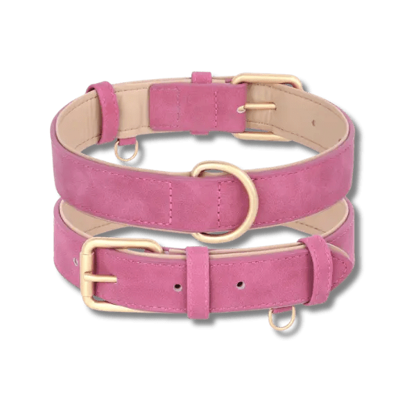 LuxeSoft Halsband & Riem Set - Pet Buddy