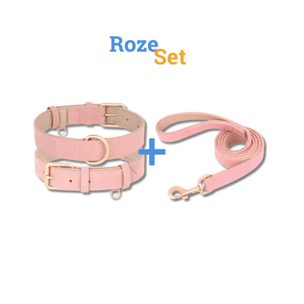 LuxeSoft Halsband & Riem Set - Pet Buddy
