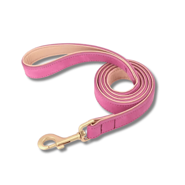 LuxeSoft Halsband & Riem Set - Pet Buddy