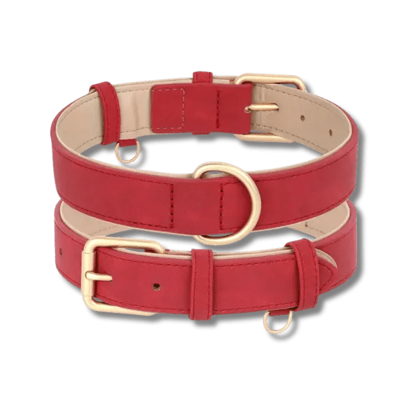 LuxeSoft Halsband & Riem Set - Pet Buddy