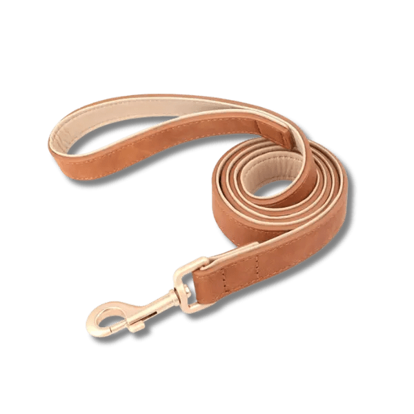 LuxeSoft Halsband & Riem Set - Pet Buddy