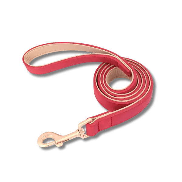 LuxeSoft Halsband & Riem Set - Pet Buddy