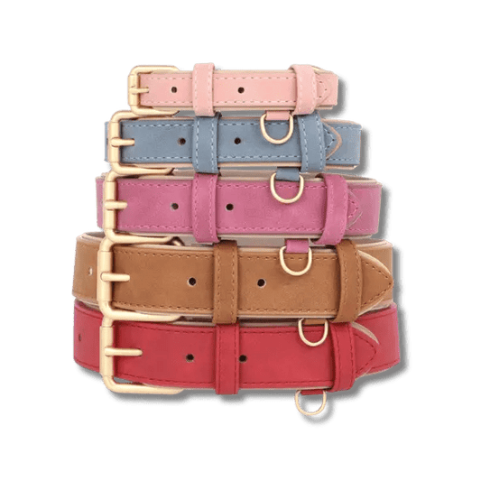 LuxeSoft Halsband & Riem Set - Pet Buddy
