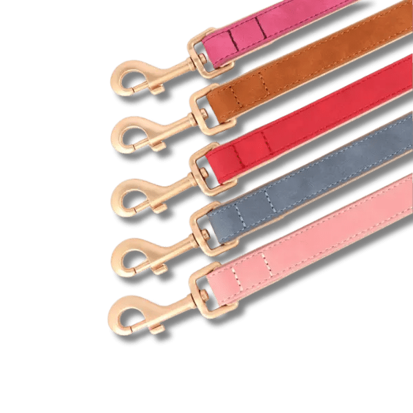 LuxeSoft Halsband & Riem Set - Pet Buddy