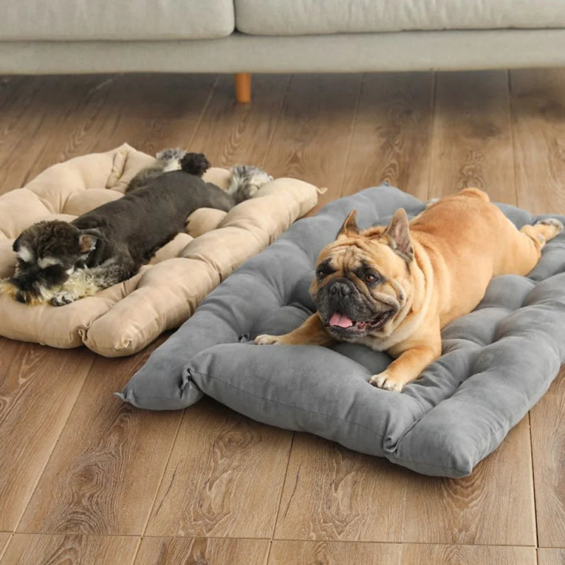 Multifunctioneel Honden - & Kattenbed 3 - in - 1 - Pet Buddy