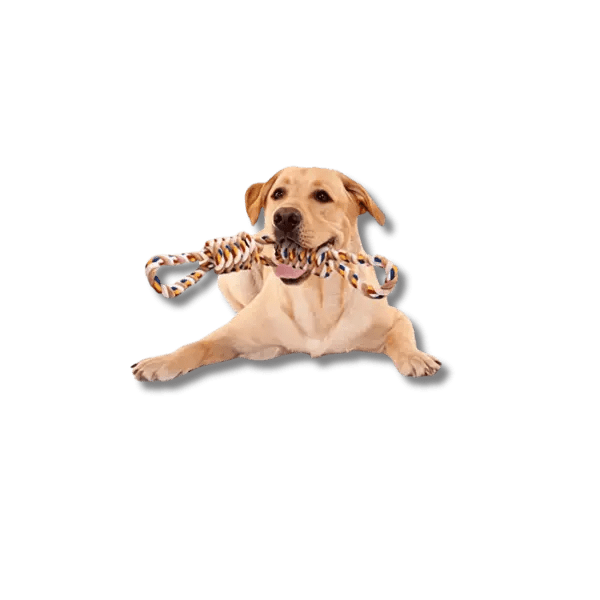 Onbreekbaar Katoentouw - Pet Buddy