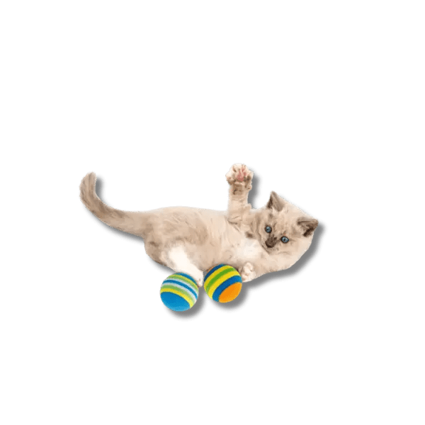 Pak van 10 Interactieve Hondenballen - Pet Buddy