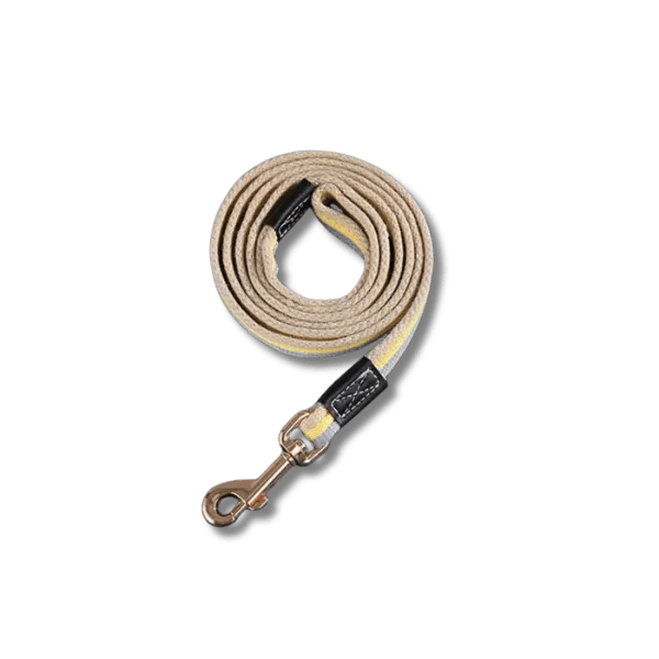 PowerNylon Trainingsriem - Pet Buddy