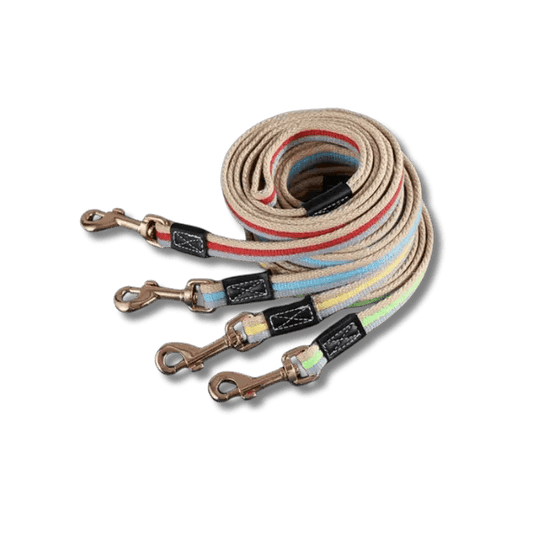 PowerNylon Trainingsriem - Pet Buddy