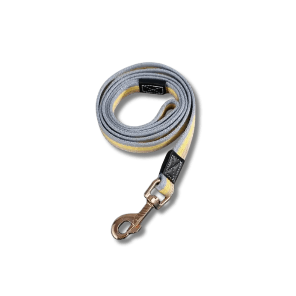 PowerNylon Trainingsriem - Pet Buddy