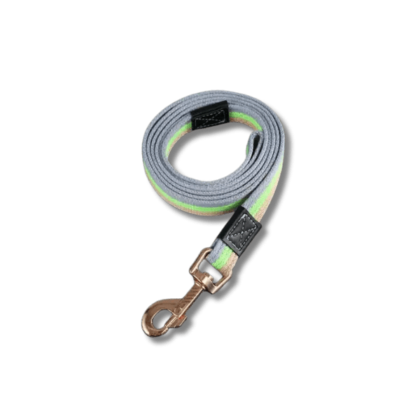 PowerNylon Trainingsriem - Pet Buddy