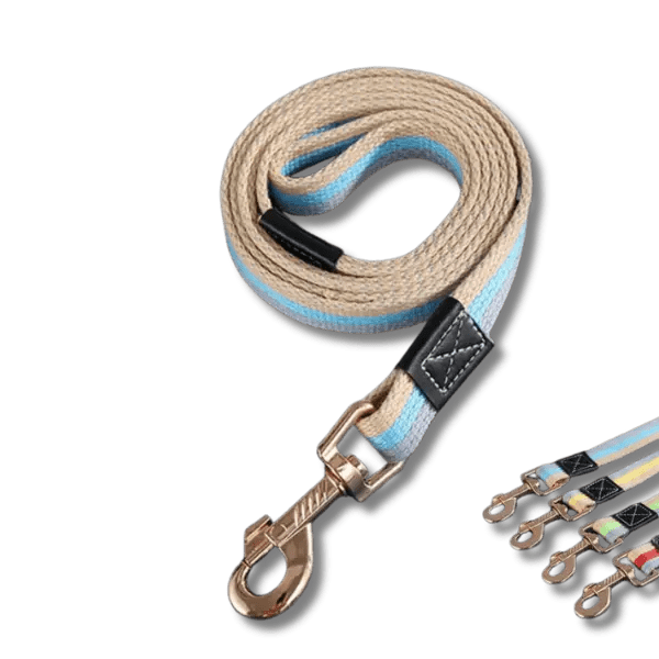 PowerNylon Trainingsriem - Pet Buddy