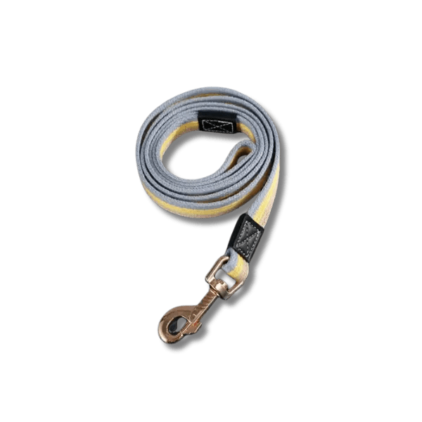 PowerNylon Trainingsriem - Pet Buddy