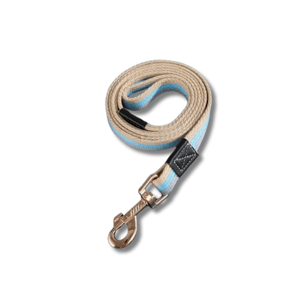 PowerNylon Trainingsriem - Pet Buddy