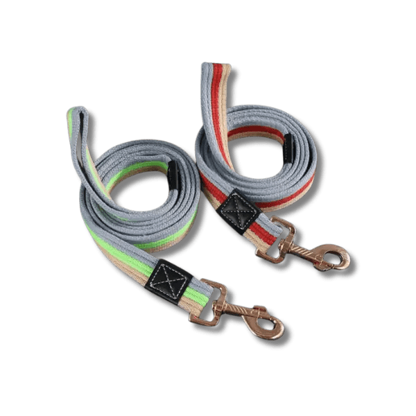 PowerNylon Trainingsriem - Pet Buddy