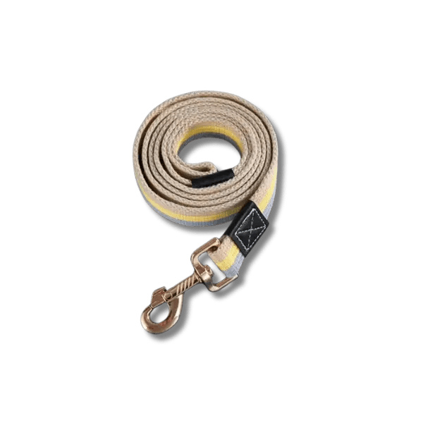 PowerNylon Trainingsriem - Pet Buddy