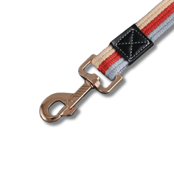 PowerNylon Trainingsriem - Pet Buddy