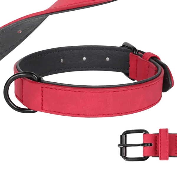 PU Leren Honden halsband - Pet Buddy