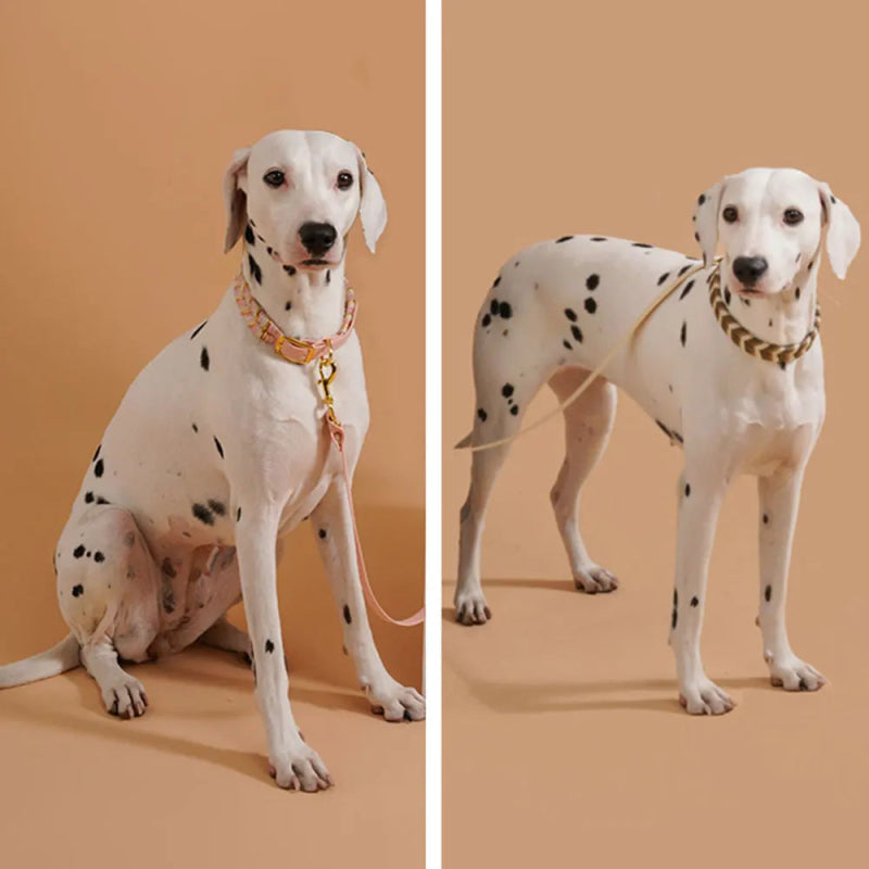 Reflecterende Sliphalsband Hond – Veilig & Comfortabel - Pet Buddy