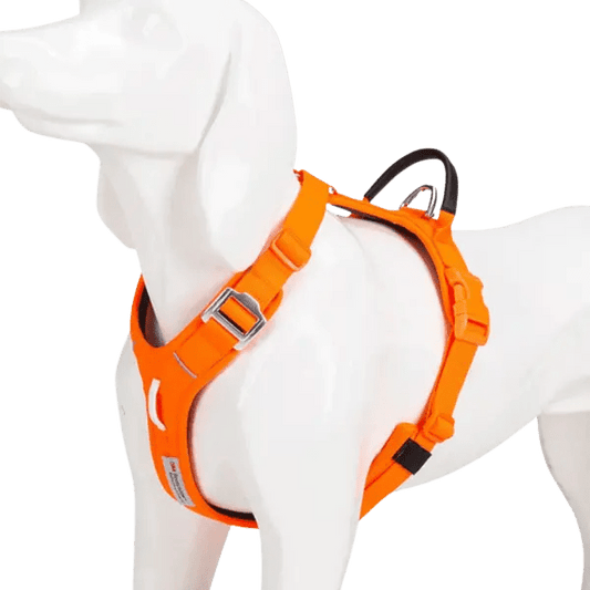 Reflectie No - Pull Harnas - Pet Buddy