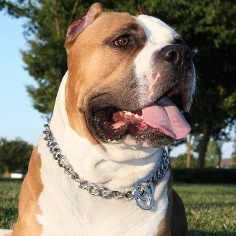 RVS Hondenketting – Cubaanse schakel, Sterk & Stijlvol - Pet Buddy