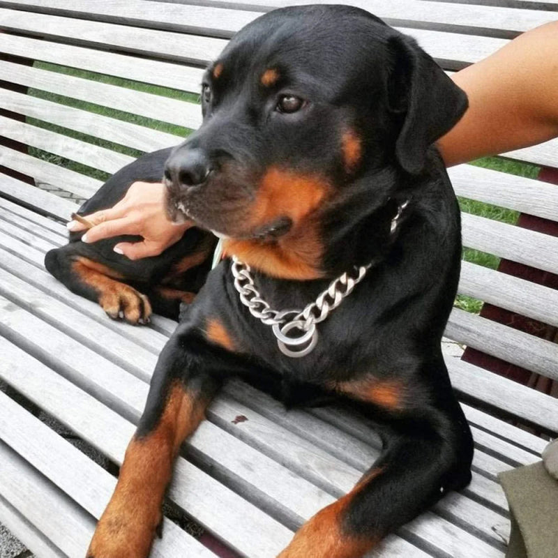 RVS Hondenketting – Cubaanse schakel, Sterk & Stijlvol - Pet Buddy