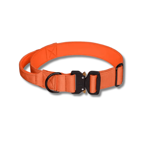 Tactische Power Halsband - Pet Buddy