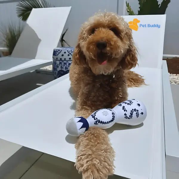 TequilaFles Plush Toy - Pet Buddy