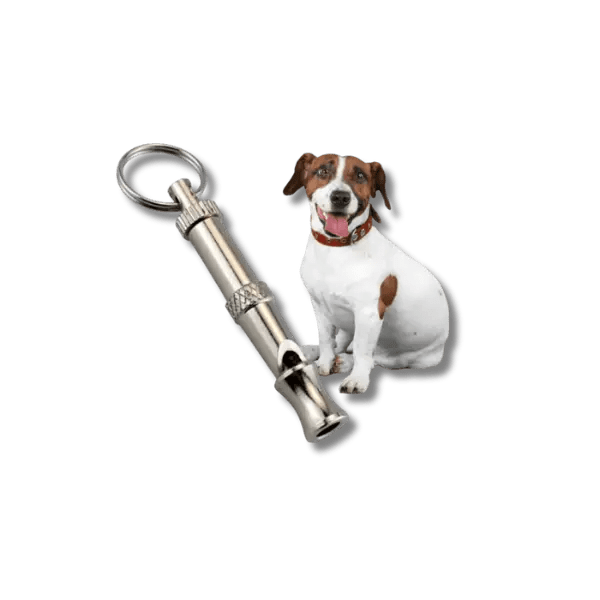 Ultrasonisch Honden Trainingsfluit - Pet Buddy
