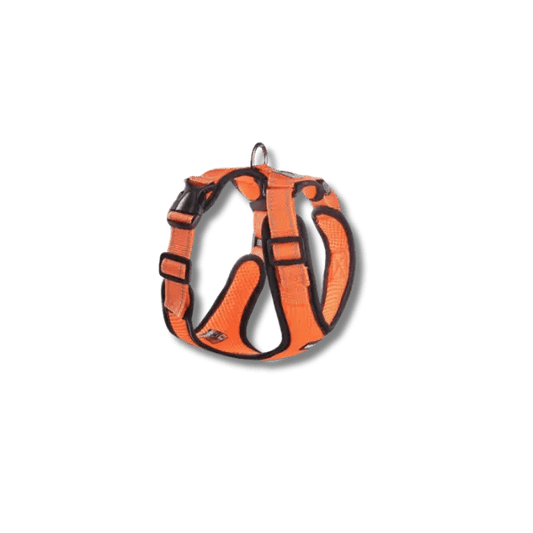 Zomer Reflecterend Mesh Harnas - Pet Buddy