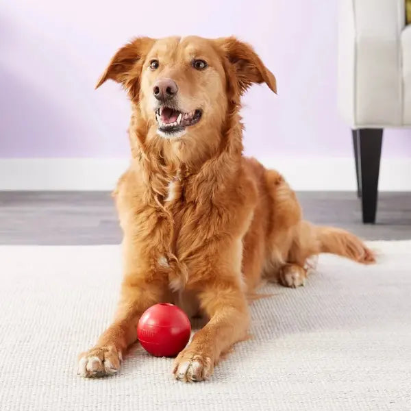KONG Classic Speelbal – Maat M/L - Pet Buddy