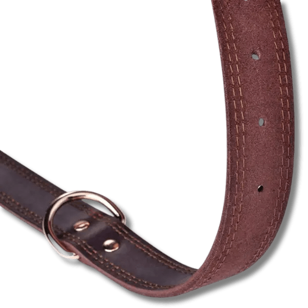 Benepaw Echtleren Halsband - Pet Buddy