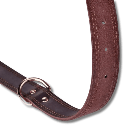 Benepaw Echtleren Halsband - Pet Buddy