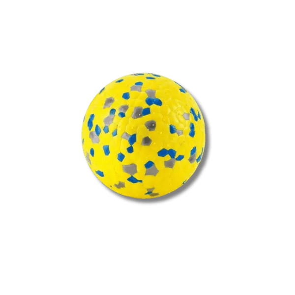 Burst Bal Kauwspeeltje - Pet Buddy