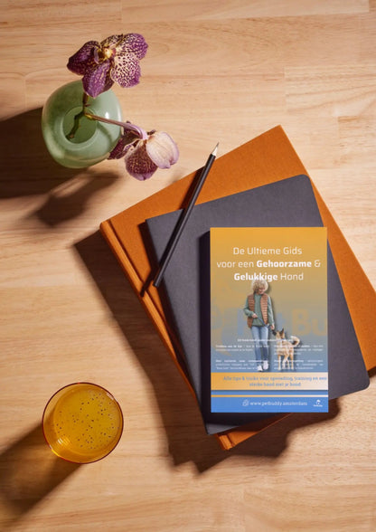 De Ultieme Pet Buddy Gids voor een Gehoorzame & Gelukkige Hond - Pet Buddy