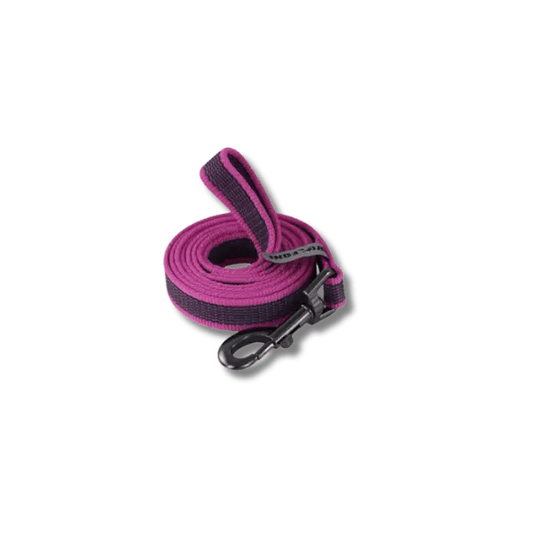 Duurzame Honden Trainingsriem - Pet Buddy