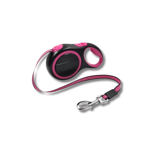Duurzame Nylon Uitschuifbare Hondenriem - Pet Buddy
