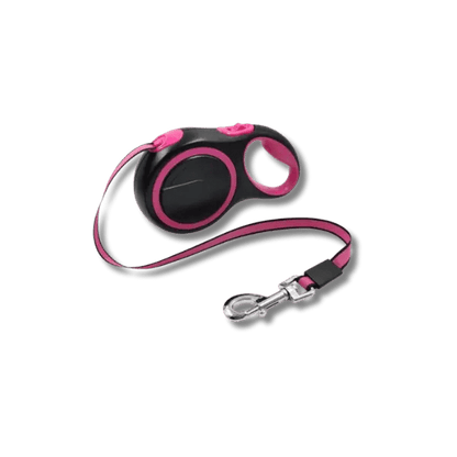 Duurzame Nylon Uitschuifbare Hondenriem - Pet Buddy