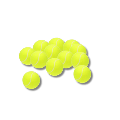 Elastische Tennisbal - Pet Buddy