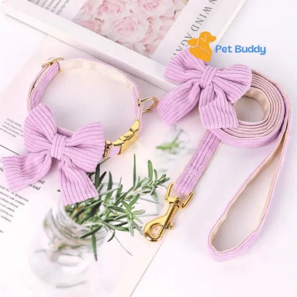 Fashion Huisdier Halsband en Riem Set - Pet Buddy