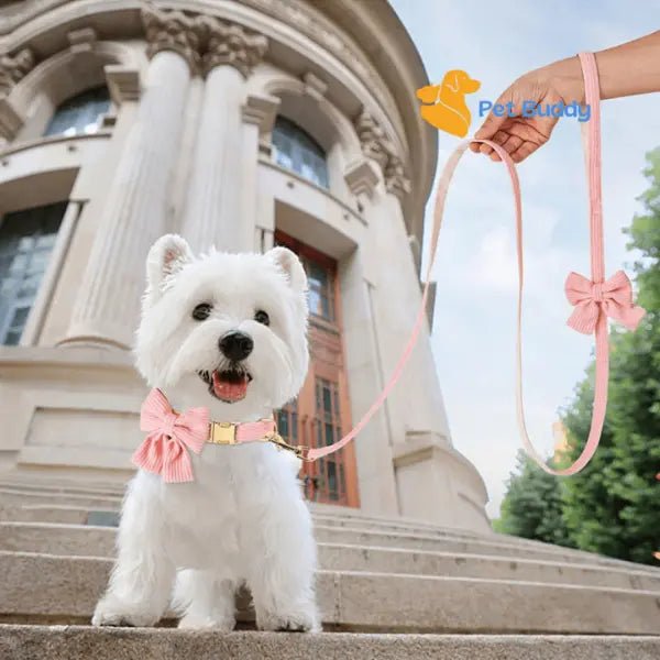 Fashion Huisdier Halsband en Riem Set - Pet Buddy