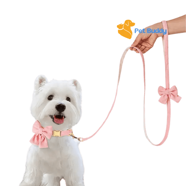 Fashion Huisdier Halsband en Riem Set - Pet Buddy
