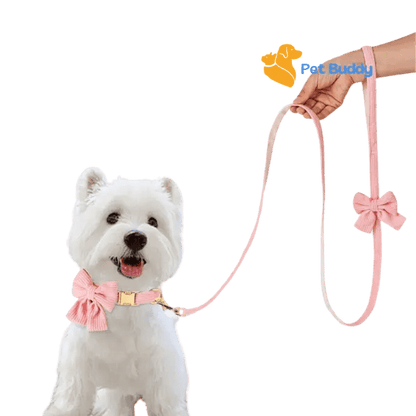 Fashion Huisdier Halsband en Riem Set - Pet Buddy