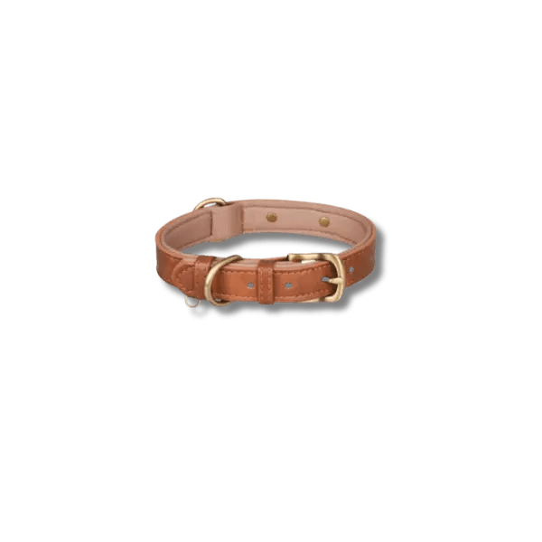 Gewatteerde Leren Huisdierhalsband - Pet Buddy