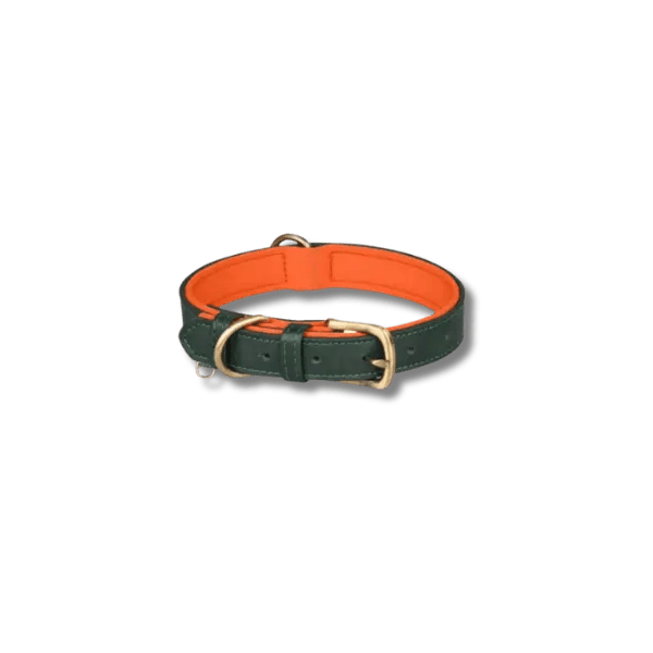 Gewatteerde Leren Huisdierhalsband - Pet Buddy